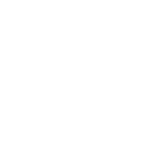 logo satareus blanco